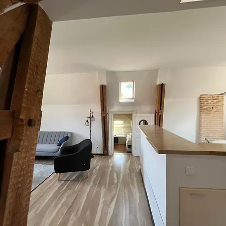 T3 Lumineux - Parking Prive - Proche Centre Et Plages D'arcachon - Fr-1-319-567