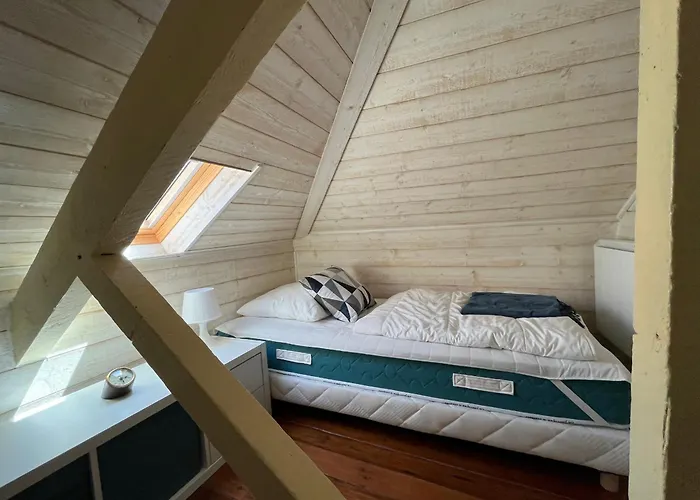 T3 Lumineux - Parking Prive - Proche Centre Et Plages D'arcachon - Fr-1-319-567 Appartement *