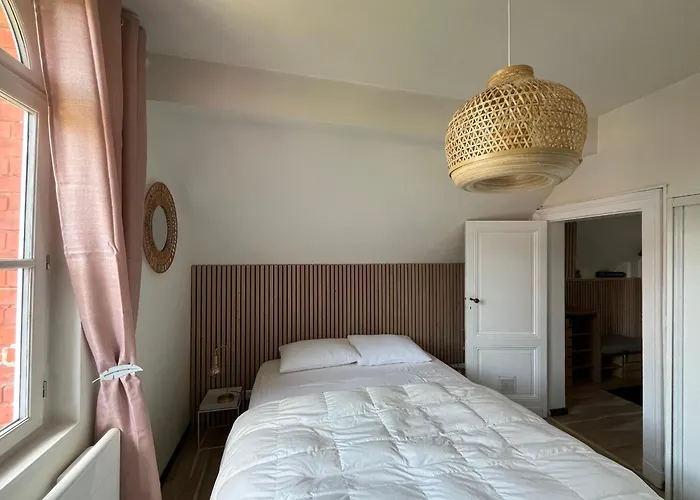 T3 Lumineux - Parking Prive - Proche Centre Et Plages D'arcachon - Fr-1-319-567 *