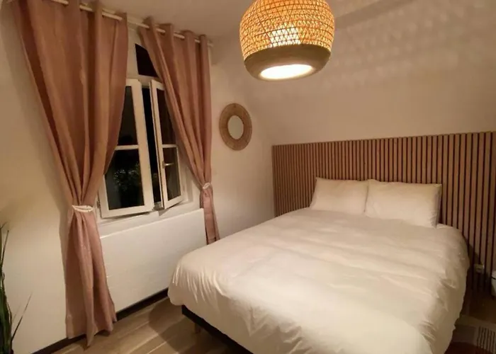 Appartement T3 Lumineux - Parking Prive - Proche Centre Et Plages D'arcachon - Fr-1-319-567 *